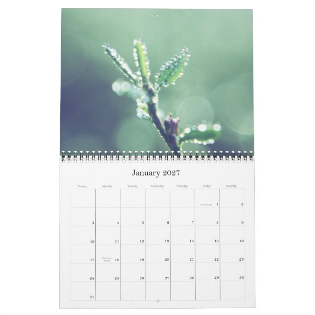 Alle grünen Kalender 2011 (Jan 2027)