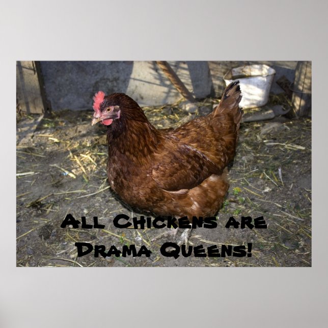 Alle Hühner sind Drama Queens! Poster (Vorne)