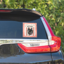 Alle Hunde sind Cool, aber Akitas Regel
