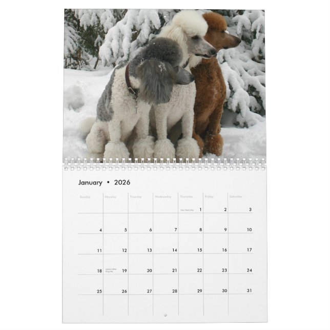 Alle Hunde sind vom Himmels-Kalender Kalender (Jan 2026)