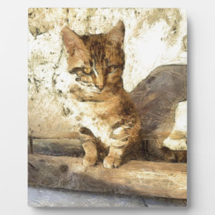 Alle Katzen sind schwarz in der dunklen Bleistiftz Fotoplatte
