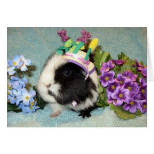 Alle kleideten oben an