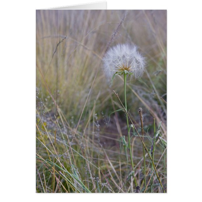 Alle kleinen Dinge (Vorne)