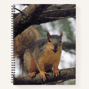 Alle lächeln notizbuch