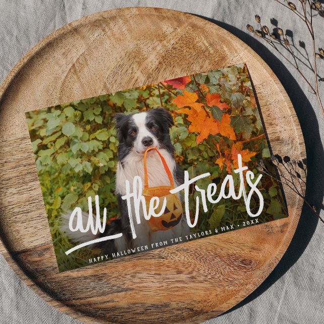 Alle Leckereien | Halloween Pet Foto Karte (Von Creator hochgeladen)