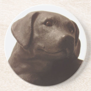 Alle Lieben einen Labrador Retriever Sandstein Untersetzer