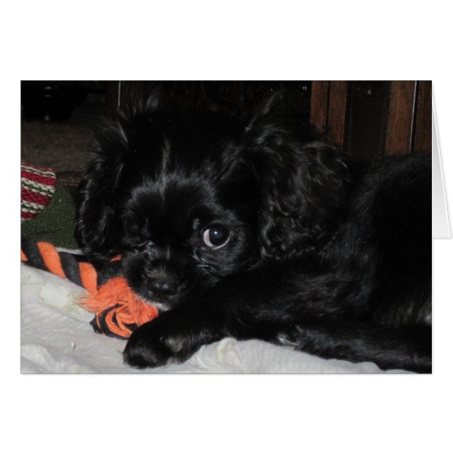 Alle meine (Vorderseite (Horizontal))