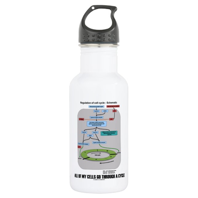Alle meine Zellen laufen einen Zyklus durch Trinkflasche (Vorderseite)