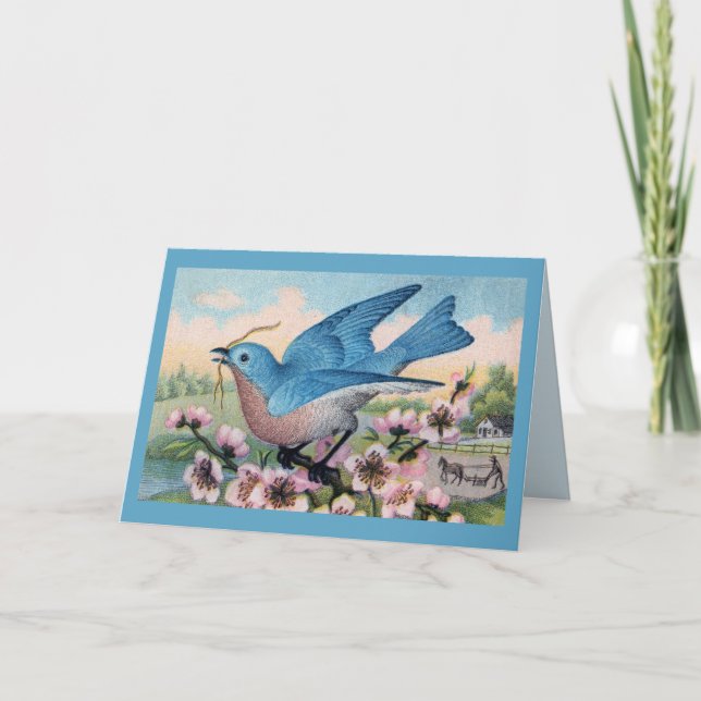 Alle Ocassion Bluebird Vielen Dank Dankeskarte (Vorderseite)