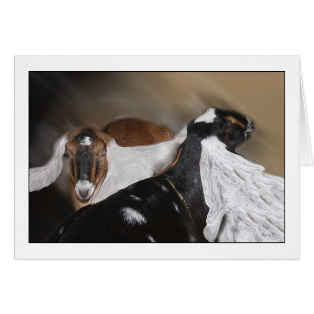 Alle Ohren (Vorderseite (Horizontal))