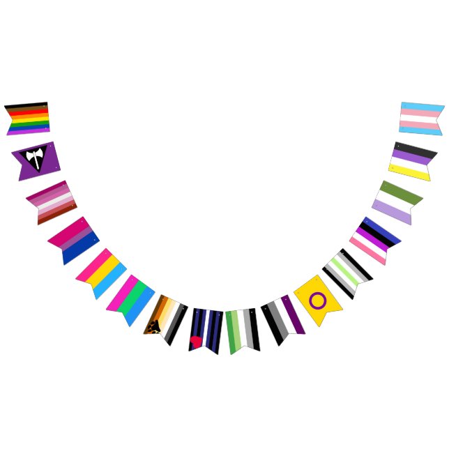 Alle Pride Flags 2.0 Wimpelkette (Alle)