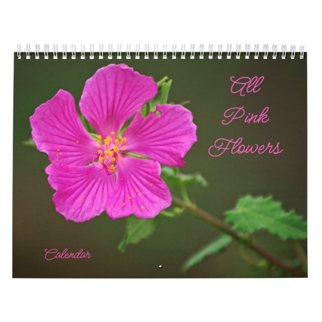 Alle rosa Blume Fotokalender Kalender (Titelbild)