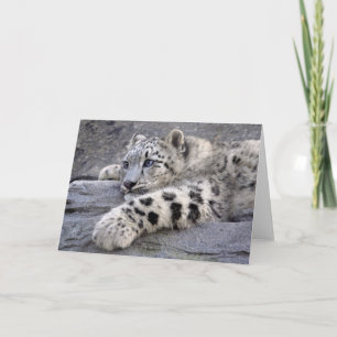 Alle spielten heraus Karte