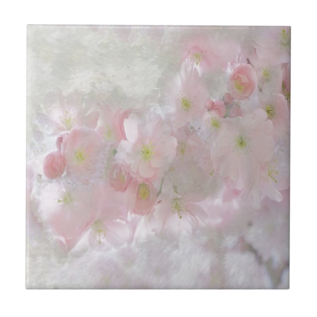 Alle Träume in Rosa Fliese (Vorderseite)