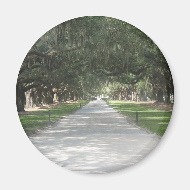 Allée de chêne à Boone Hall, Charleston SC Magnet (Devant)