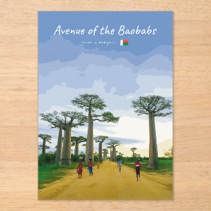 Allee der Baobabs, Madagaskar - Landschaft Acryleinladungen