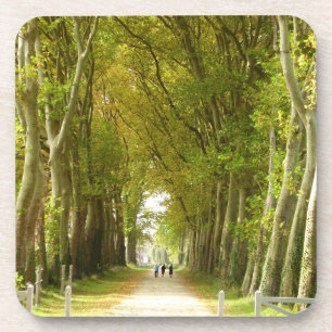 Allee der Bäume harte Kunststoff-Untersetzer Getränkeuntersetzer