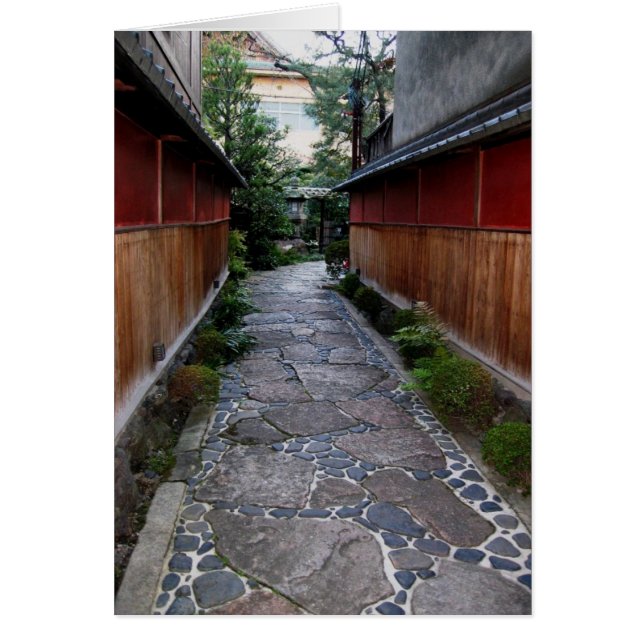 Allée en pierre (Devant)