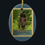 Allegano Staat Park Vintage Keramik Ornament<br><div class="desc">Vintage Reise-Ornament Allegany Staat Park Bild mit einem schwarzen Bär stehend auf seinen Hinterbeinen, Blick in den grünen Wald.</div>