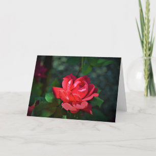allegoricallittera.blogspot.com Rote Rose, Rose Karte