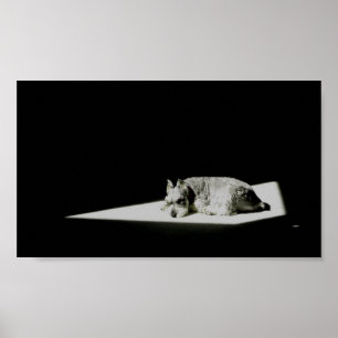 Allein im Licht Poster