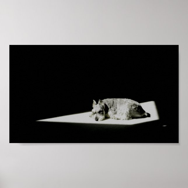 Allein im Licht Poster (Vorne)