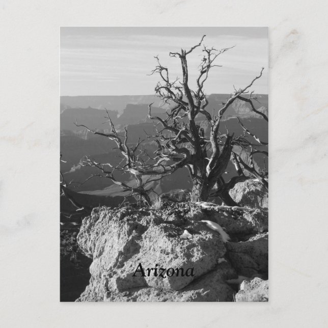 Allein in Arizona Postkarte (Vorderseite)