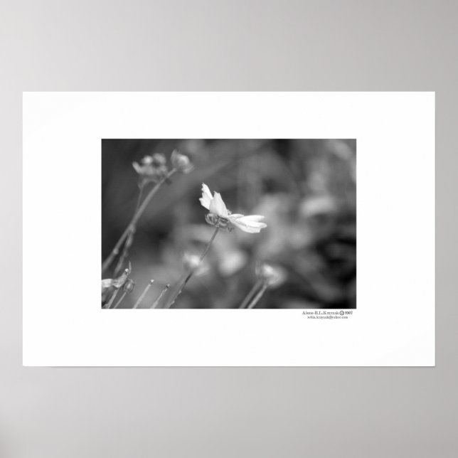 allein poster (Vorne)