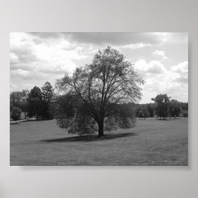 allein poster (Vorne)