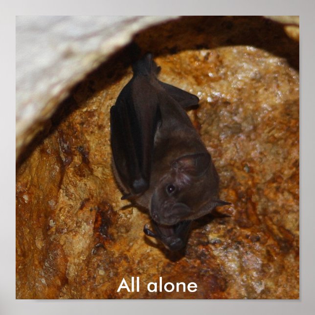 Alleinalleine Poster (Vorne)