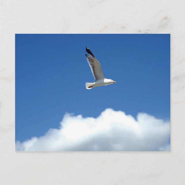 Alleinstehende Postkarte (Vorderseite)