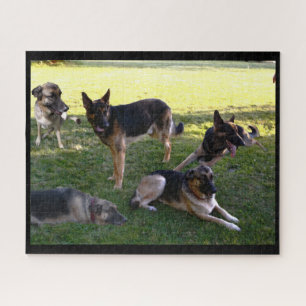 ALLEMAND SHEPHERD DOGS puzzle