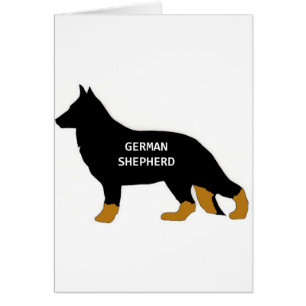 Allemand Shepherd nom silo bi color
