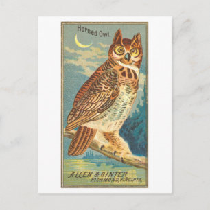 Allen & Ginter Handelskarte Postkarte mit Ohreneul