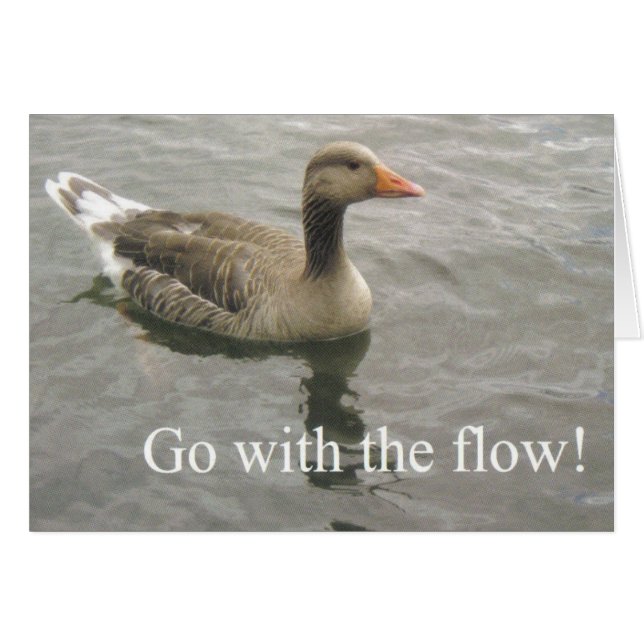 aller avec le canard à écoulement (Devant Horizontal)