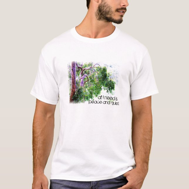 Aller, den ich benötige, ist Frieden und Ruhe T-Shirt (Vorderseite)