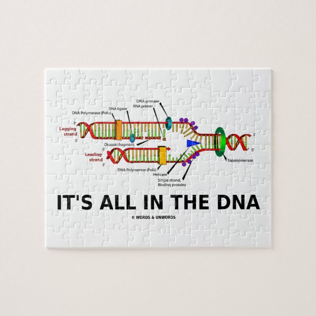 Aller es ist im Molekularbiologie-Spaß DNA (Horizontal)