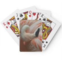 Alles Flamingo!