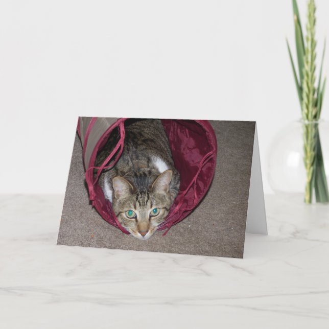 Alles Gute-Karte Karte (Vorderseite)