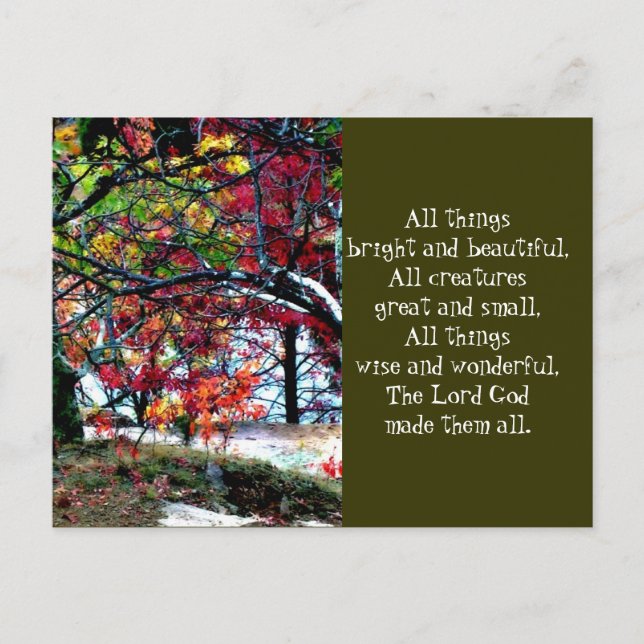 Alles Gute und Schönes Postkarte (Vorderseite)