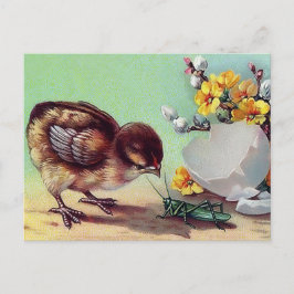 Alles Gute zu Ostern. Vintage Küken Feiertagspostkarte