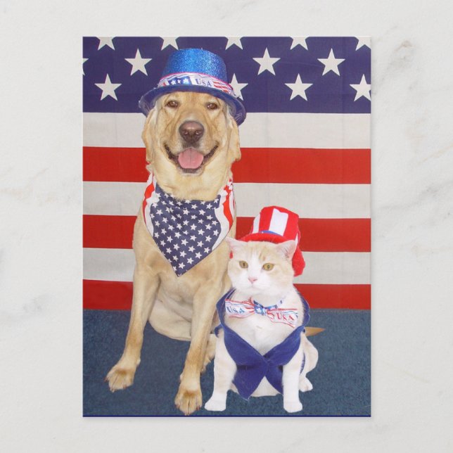 Alles Gute zum 4. Juli! Postkarte (Vorderseite)