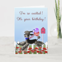Alles Gute zum Geburtstag, aufgeregter schwarzer