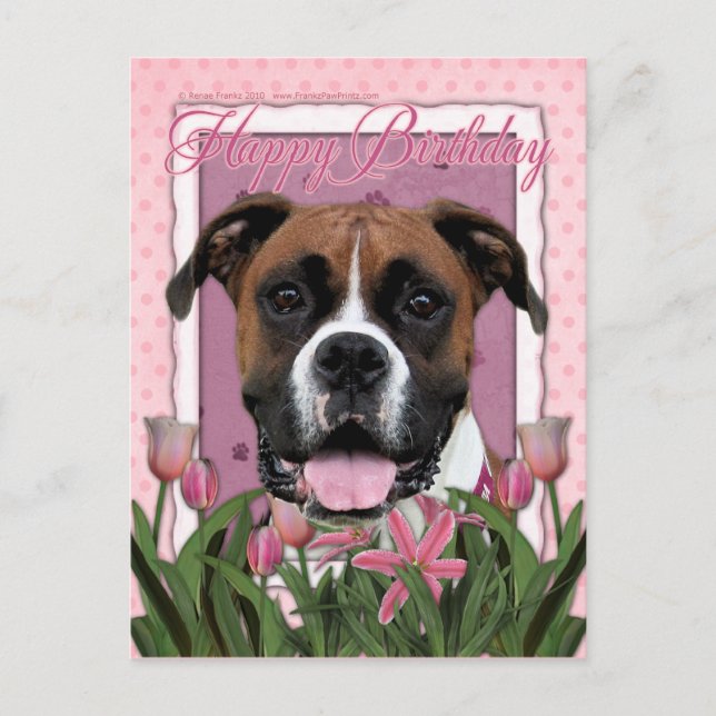 Alles Gute zum Geburtstag - Boxer - Vindy Postkarte (Vorderseite)