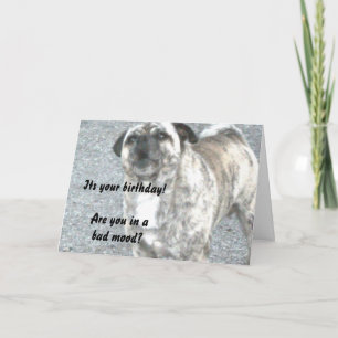 Alles Gute zum Geburtstag Bulldogge Karte