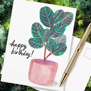Alles Gute zum Geburtstag Calathea Marantengewächs Postkarte