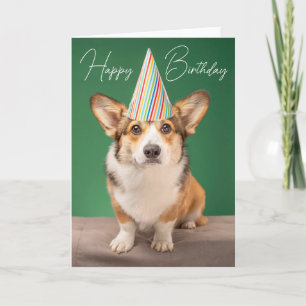 Alles Gute zum Geburtstag   Corgi Geburtstag Hund Karte