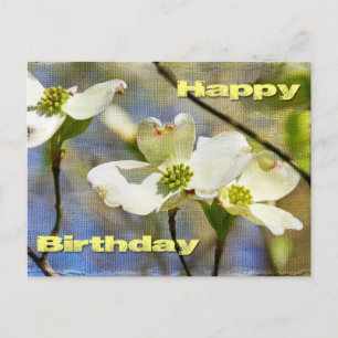 Alles Gute zum Geburtstag - Dogwood-Blüten Postkarte