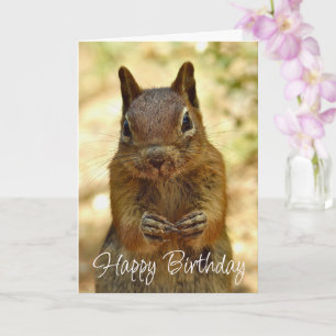 Alles Gute zum Geburtstag Eichhörnchen auf der Suc Karte
