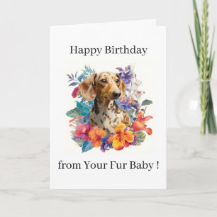 Alles Gute zum Geburtstag Foto Hund Katze Haustier Karte